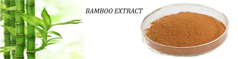 Bamboo Extract Bamboo Extract